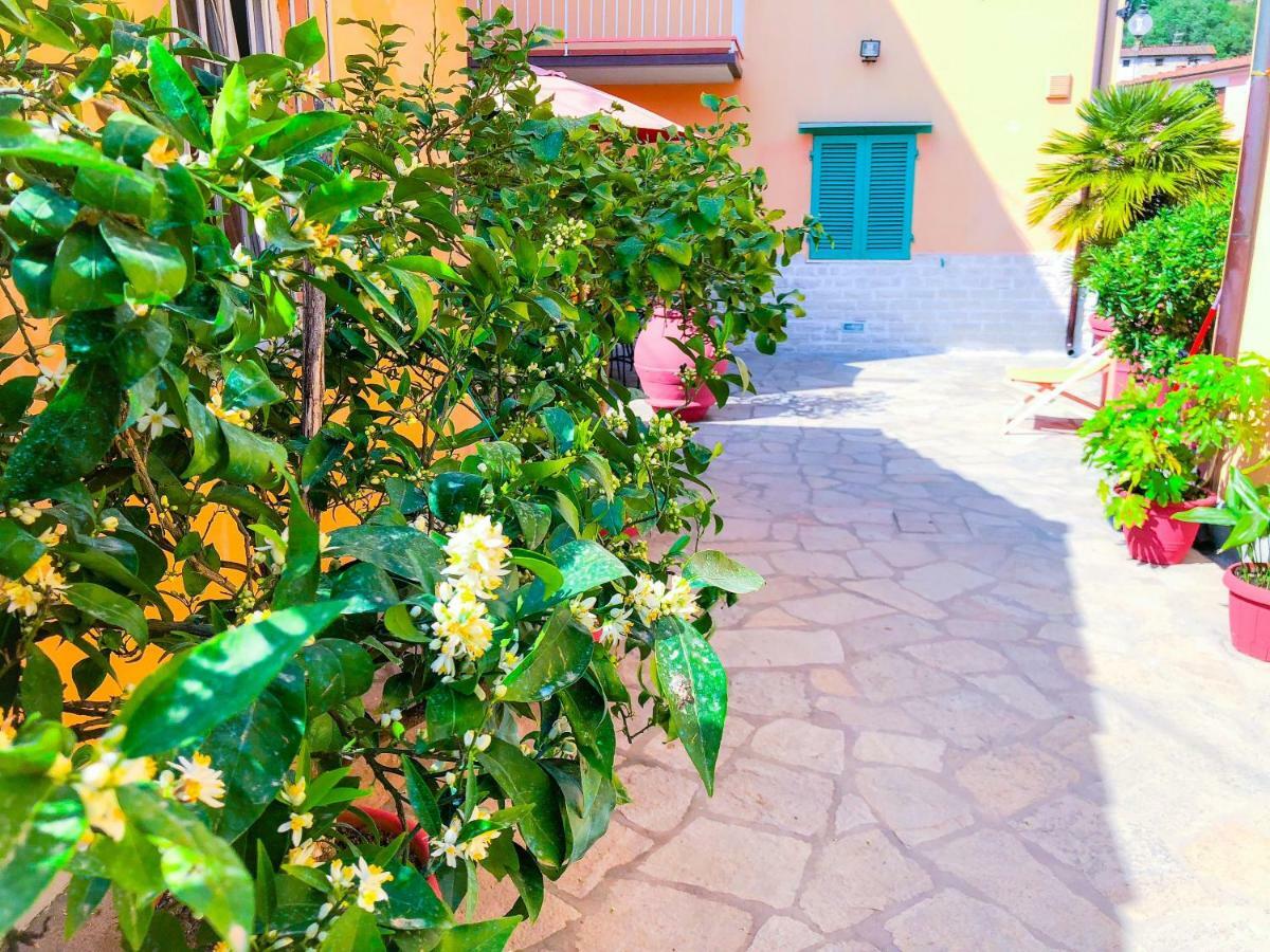 Cuore Di Nozzano Castello ルッカ エクステリア 写真